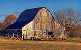 Sheep Barn_00271